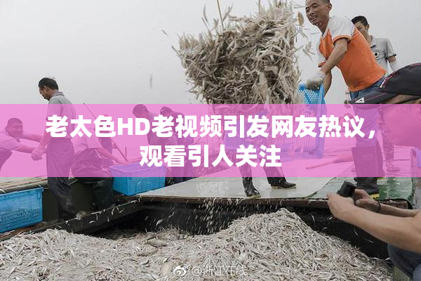 老太色HD老视频引发网友热议，观看引人关注