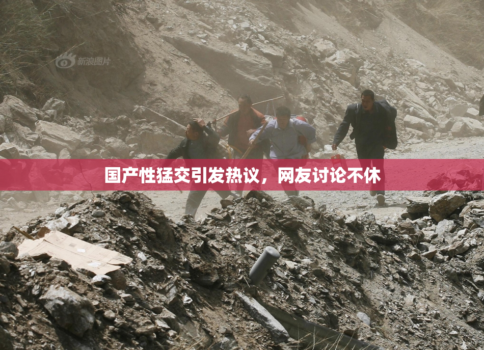 国产性猛交引发热议，网友讨论不休