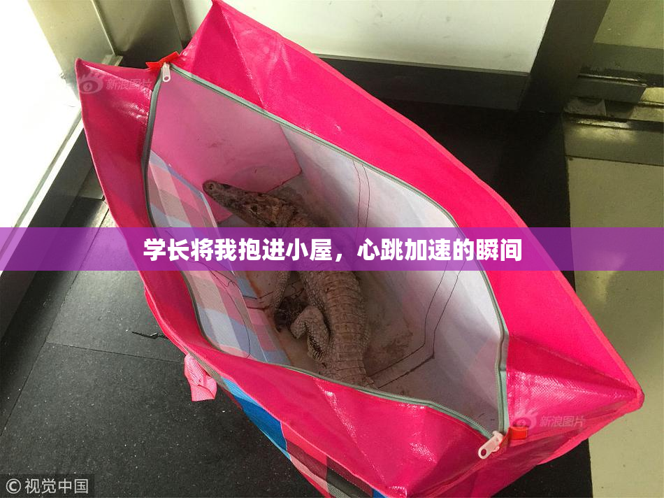 学长将我抱进小屋，心跳加速的瞬间