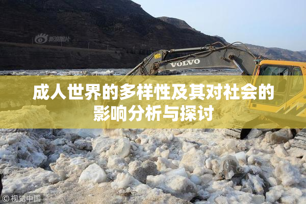 成人世界的多样性及其对社会的影响分析与探讨