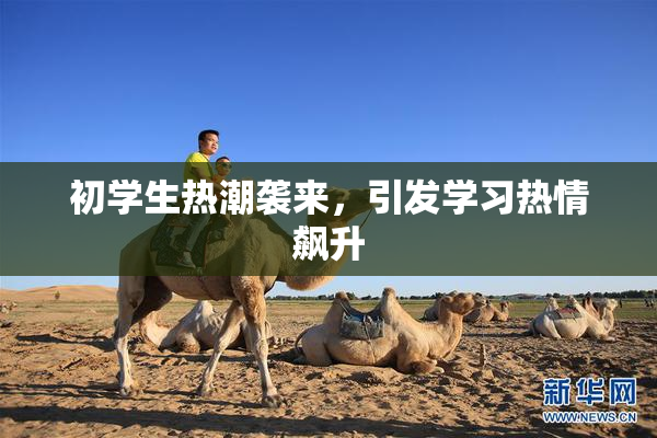 初学生热潮袭来，引发学习热情飙升
