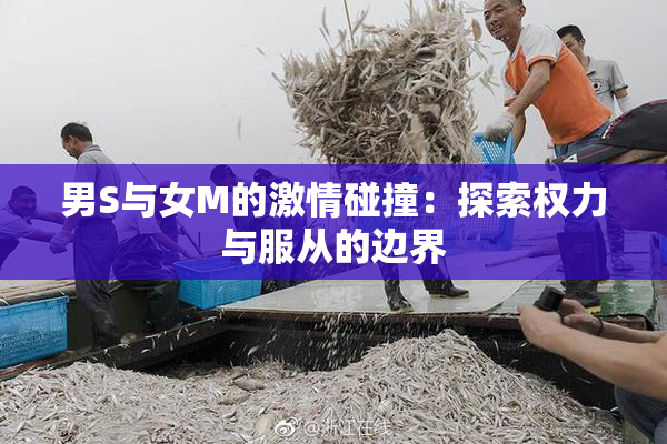 男S与女M的激情碰撞：探索权力与服从的边界