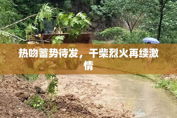 热吻蓄势待发，干柴烈火再续激情