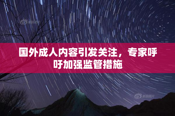 国外成人内容引发关注，专家呼吁加强监管措施