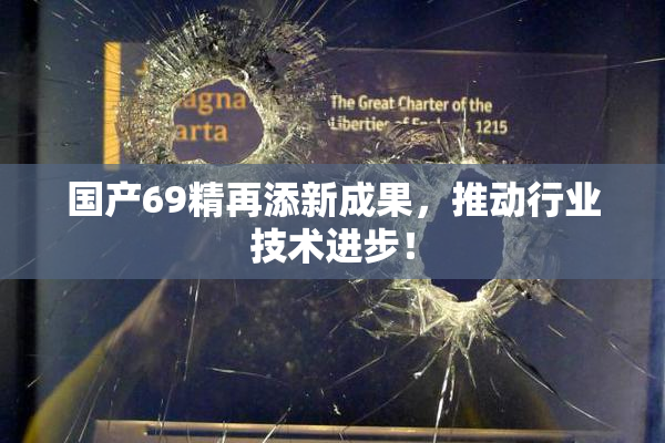 国产69精再添新成果，推动行业技术进步！