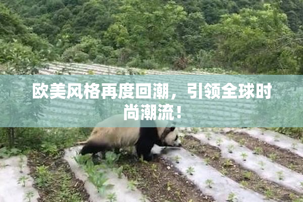 欧美风格再度回潮，引领全球时尚潮流！