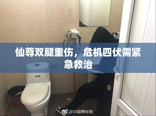仙尊双腿重伤，危机四伏需紧急救治