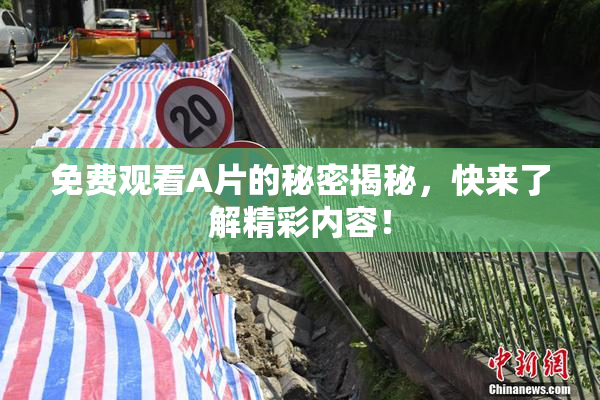 免费观看A片的秘密揭秘，快来了解精彩内容！