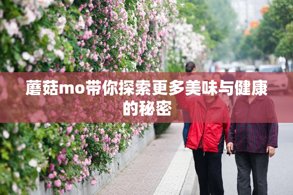 蘑菇mo带你探索更多美味与健康的秘密