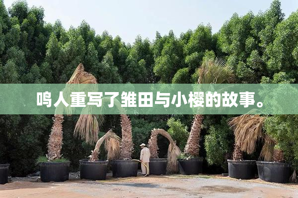 鸣人重写了雏田与小樱的故事。
