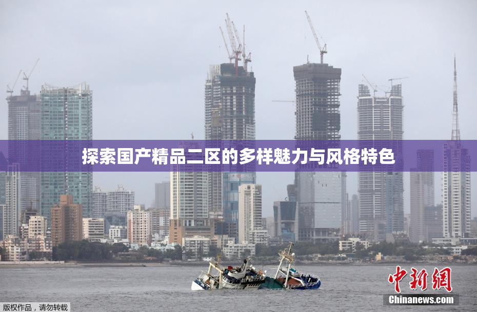 探索国产精品二区的多样魅力与风格特色