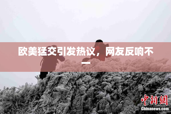 欧美猛交引发热议，网友反响不一