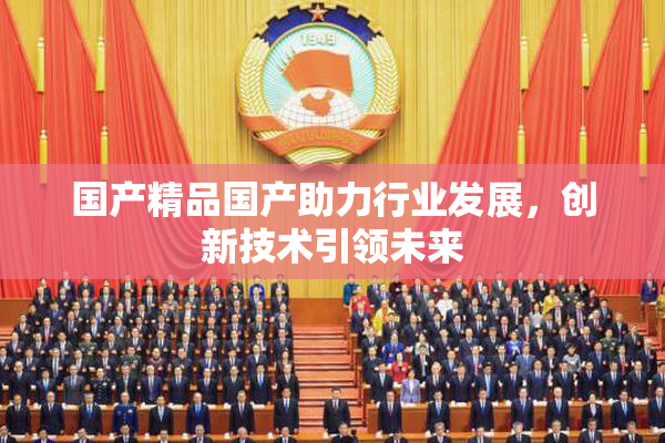 国产精品国产助力行业发展，创新技术引领未来