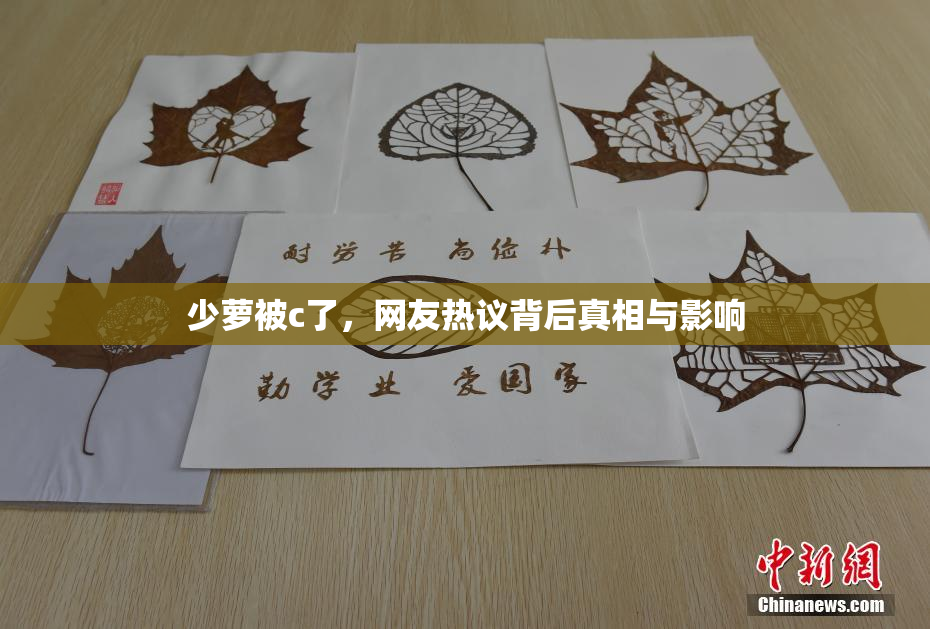少萝被c了，网友热议背后真相与影响