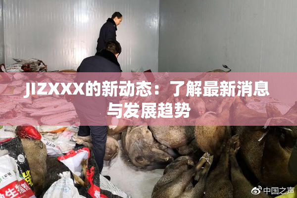JIZXXX的新动态：了解最新消息与发展趋势