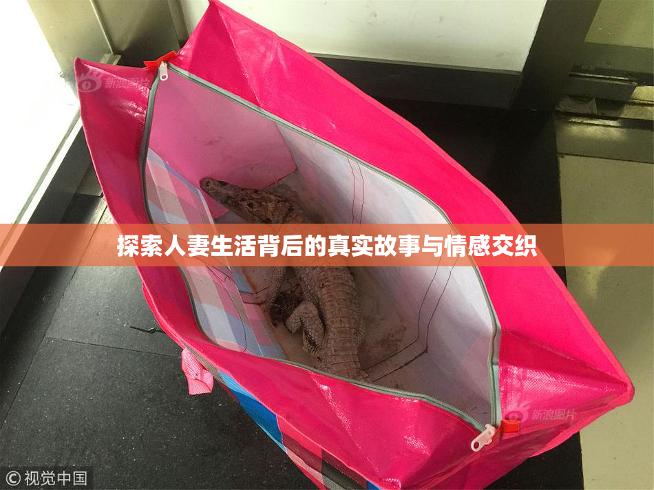 探索人妻生活背后的真实故事与情感交织