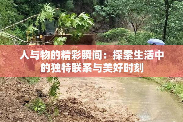 人与物的精彩瞬间：探索生活中的独特联系与美好时刻