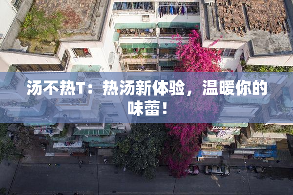 汤不热T：热汤新体验，温暖你的味蕾！