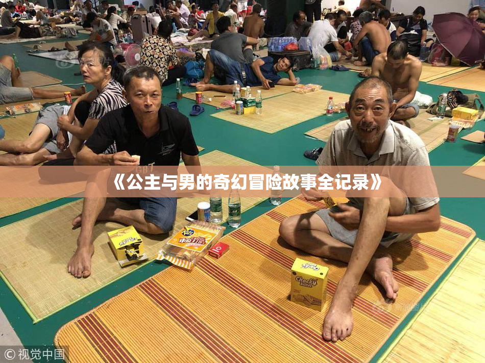 《公主与男的奇幻冒险故事全记录》