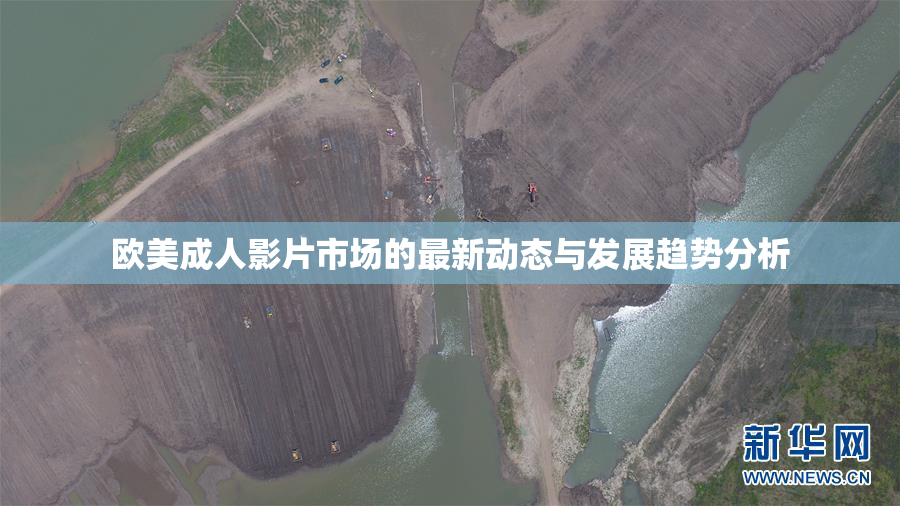 欧美成人影片市场的最新动态与发展趋势分析