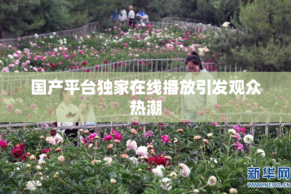 国产平台独家在线播放引发观众热潮