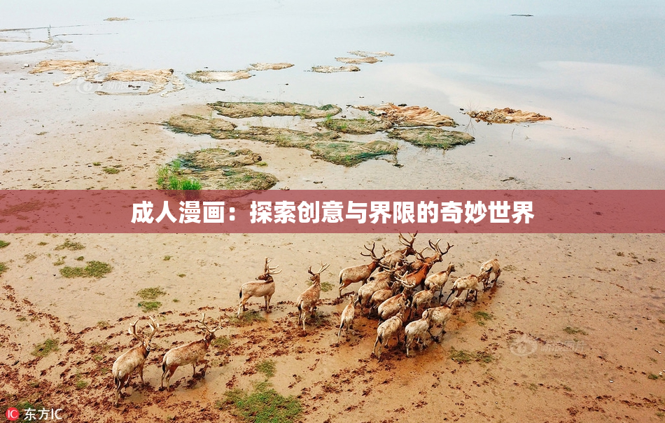 成人漫画：探索创意与界限的奇妙世界