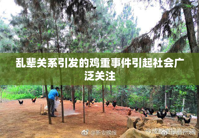 乱辈关系引发的鸡重事件引起社会广泛关注