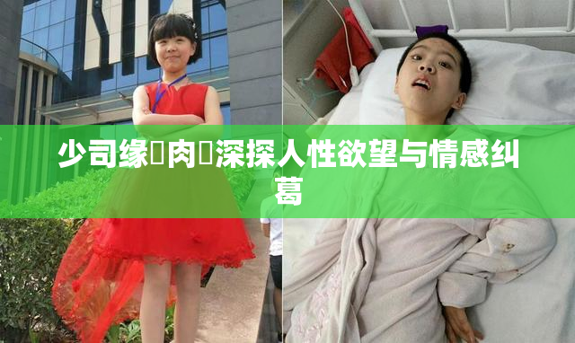 少司缘婬肉泬深探人性欲望与情感纠葛