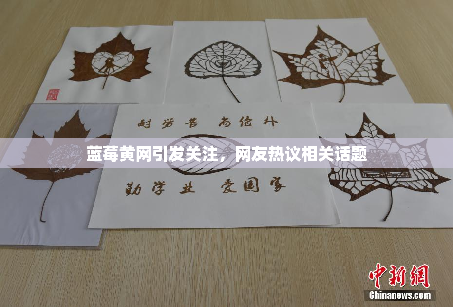 蓝莓黄网引发关注，网友热议相关话题