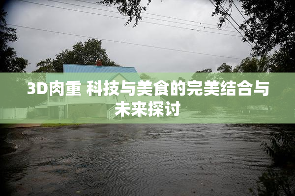 3D肉重 科技与美食的完美结合与未来探讨