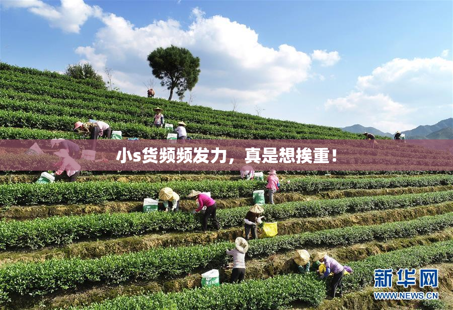 小s货频频发力，真是想挨重！