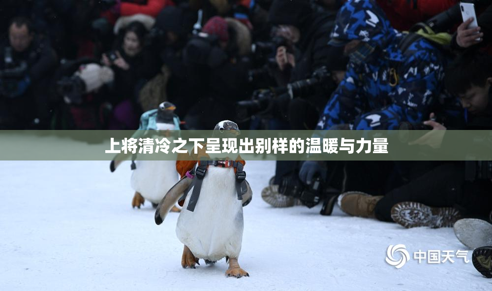 上将清冷之下呈现出别样的温暖与力量