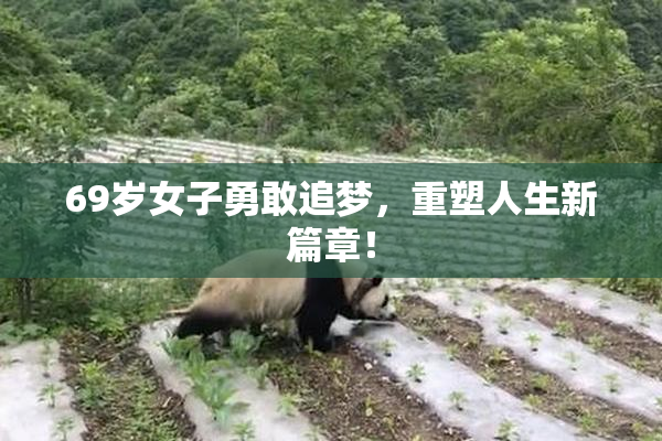 69岁女子勇敢追梦，重塑人生新篇章！