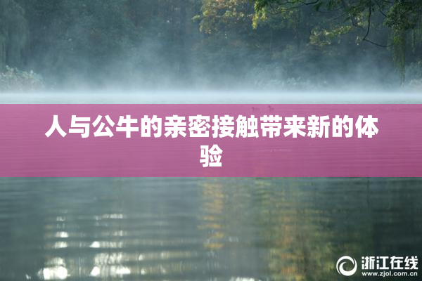 人与公牛的亲密接触带来新的体验