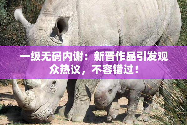 一级无码内谢：新晋作品引发观众热议，不容错过！