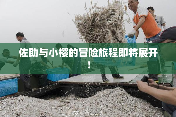 佐助与小樱的冒险旅程即将展开！