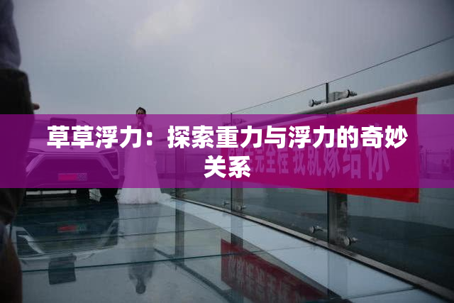 草草浮力：探索重力与浮力的奇妙关系
