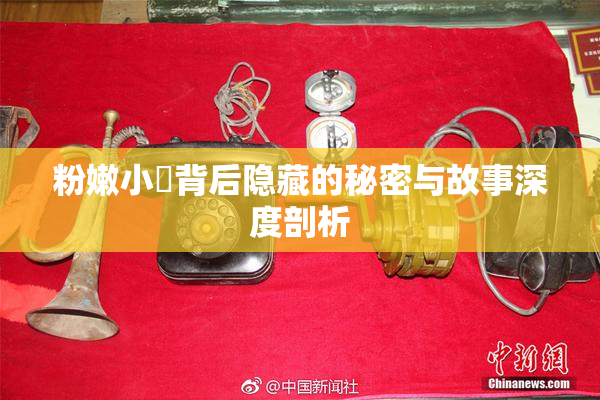 粉嫩小泬背后隐藏的秘密与故事深度剖析