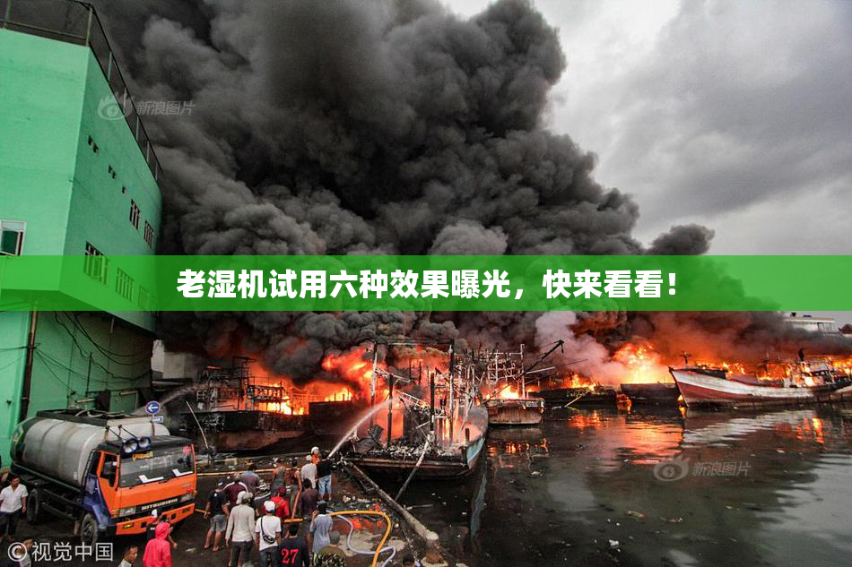 老湿机试用六种效果曝光，快来看看！