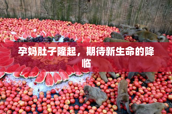 孕妈肚子隆起，期待新生命的降临