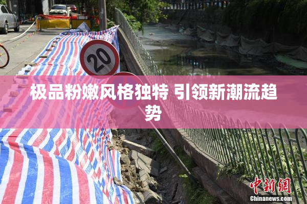 极品粉嫩风格独特 引领新潮流趋势