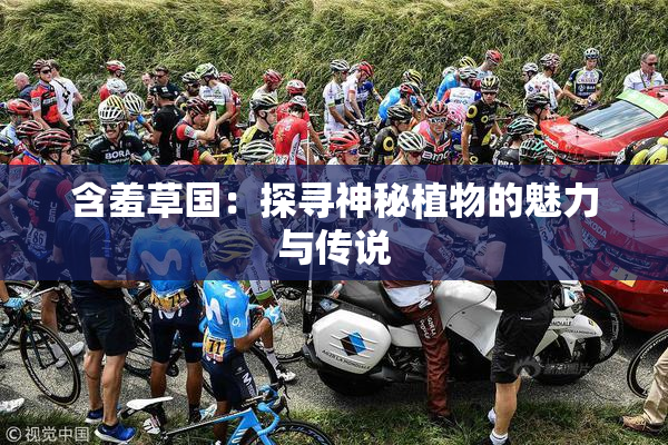 含羞草国：探寻神秘植物的魅力与传说