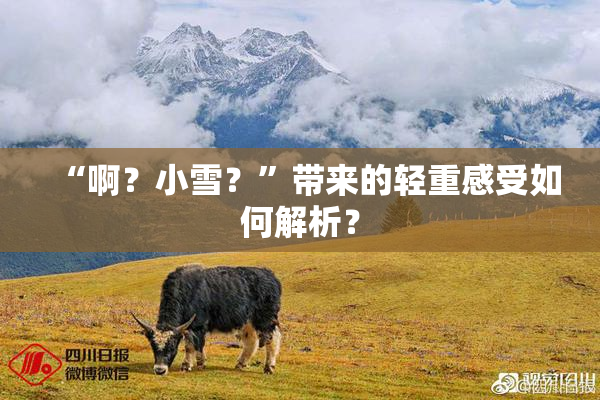 “啊？小雪？”带来的轻重感受如何解析？