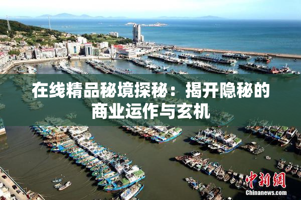 在线精品秘境探秘：揭开隐秘的商业运作与玄机