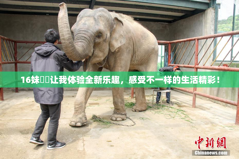 16妹妺妺让我体验全新乐趣，感受不一样的生活精彩！