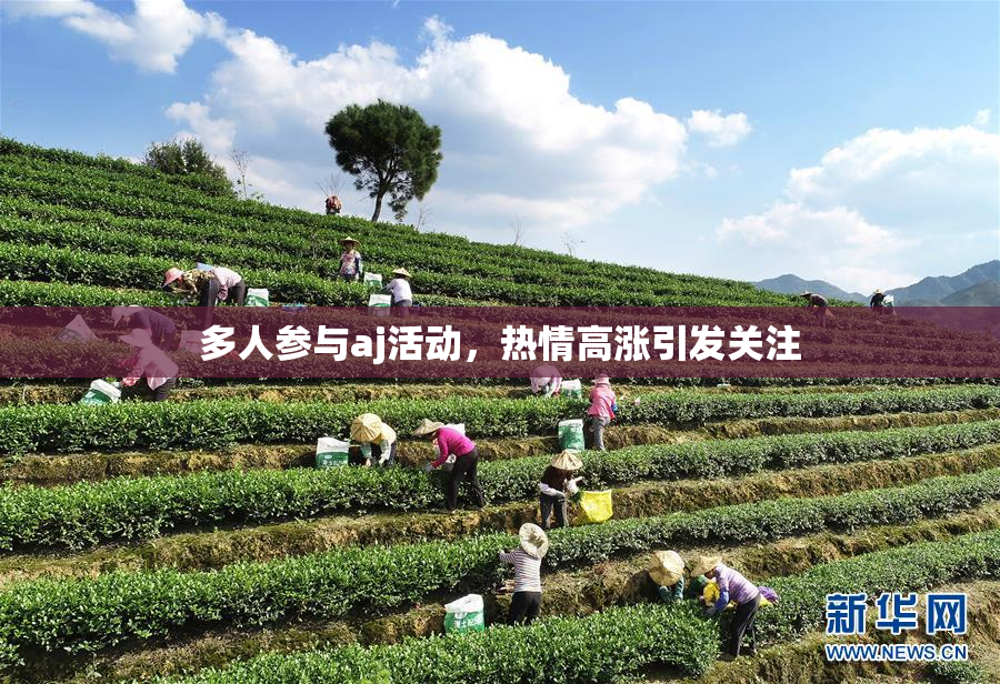 多人参与aj活动，热情高涨引发关注