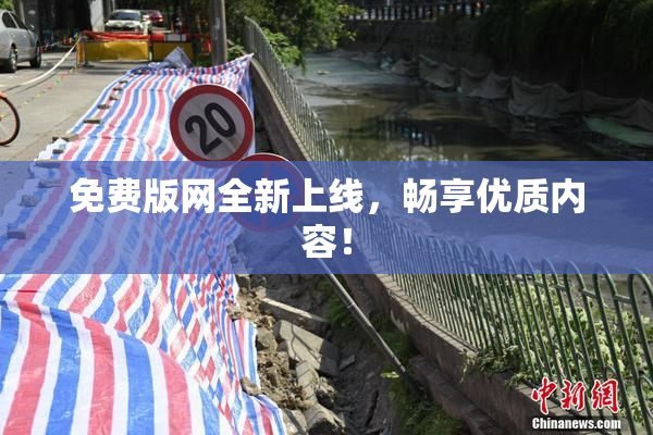 免费版网全新上线，畅享优质内容！