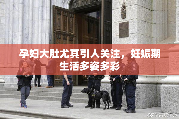孕妇大肚尤其引人关注，妊娠期生活多姿多彩