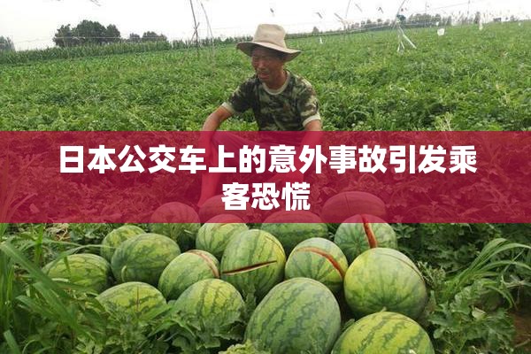 日本公交车上的意外事故引发乘客恐慌