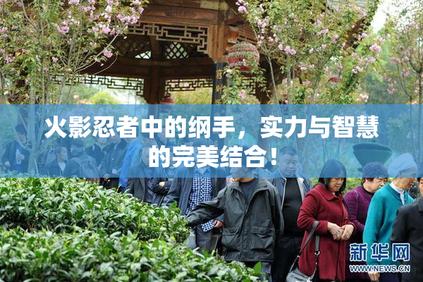 火影忍者中的纲手，实力与智慧的完美结合！